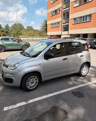 Fiat panda 1.2 easy - 2017 unico proprietario