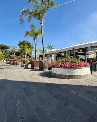 NEGOZIO A ISCHIA