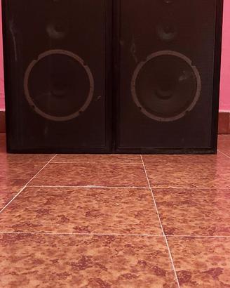 Casse Diffusori passivi Schneider vintage