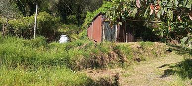 terreno agricolo per fotovoltaico/coltivazioni/ani