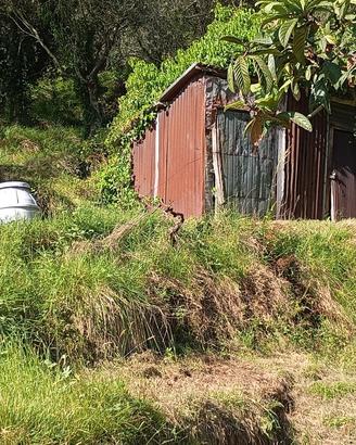 terreno agricolo per fotovoltaico/coltivazioni/ani