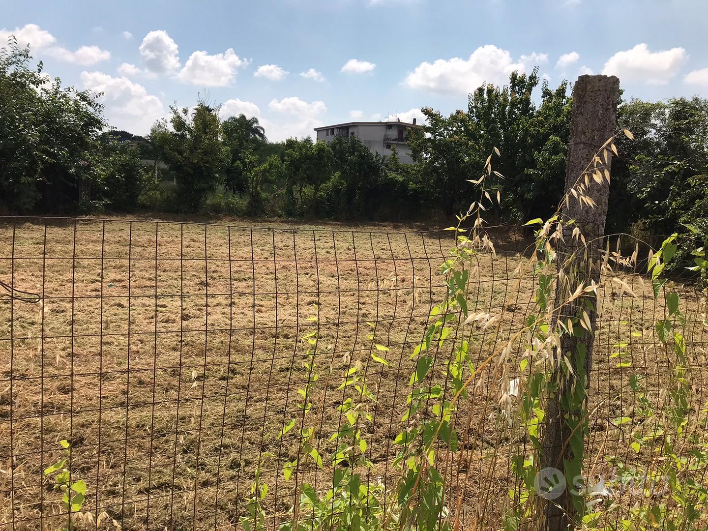Terreno Marcianise Via Santella - Vista 5