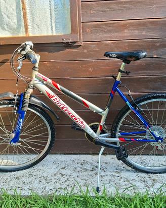 mountain bike