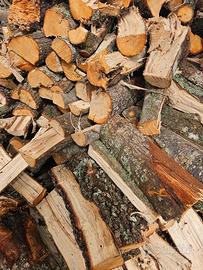 Legna leccio e quercia