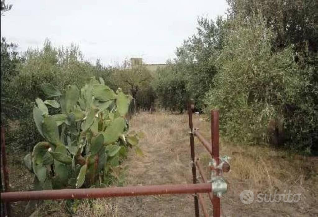 Immobile in asta di 796 m² a Carini - Vista 2