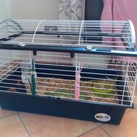 Gabbia porcellino d'india/coniglio nano