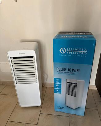 raffrescatore olimpia con smart control 