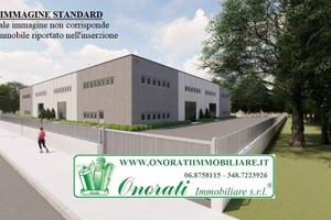 MQ 6800 TIVOLI, TIVOLI TERME, RIF. A-990