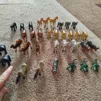 animali dello zoo e dinosari 