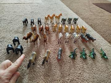 animali dello zoo e dinosari 