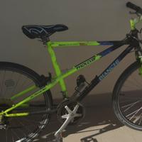 Bici Bianchi ATB FLEX system