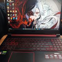 Acer Nitro AN515-43