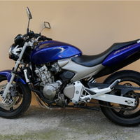 Honda hornet