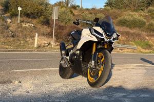 Aprilia Tuono V4 Factory