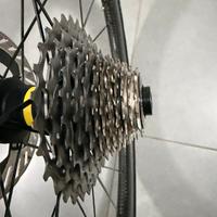 Pacco Pignoni Shimano Diurace 12v