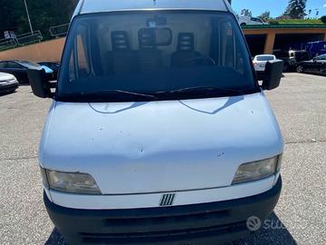 MUSATA PER FIAT DUCATO 230L 2.0 BENZINA 1998