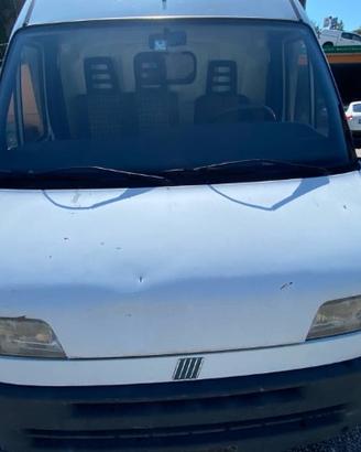 MUSATA PER FIAT DUCATO 230L 2.0 BENZINA 1998