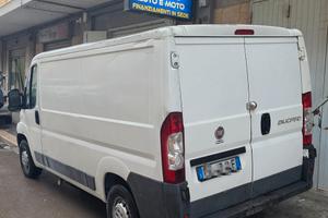 Fiat ducato tetto basso