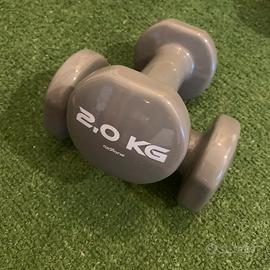 Manubri palestra ghisa 2 x 2 kg