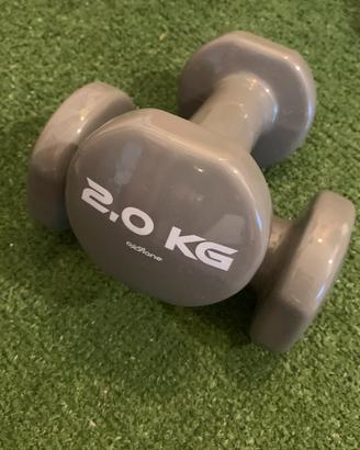 Manubri palestra ghisa 2 x 2 kg