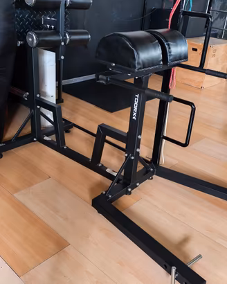 Panca GHD Toorx WBX-250 Professional