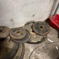 Dischi pesi in ghisa varie dimensioni