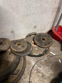 Dischi pesi in ghisa varie dimensioni