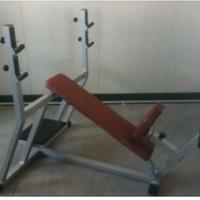 Palestra Set Attrezzi Technogym Linea Silver
