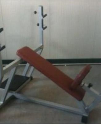 Palestra Set Attrezzi Technogym Linea Silver