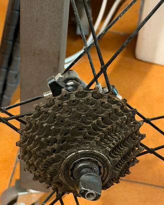 Cerchi bicicletta