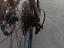 Immagine 6
