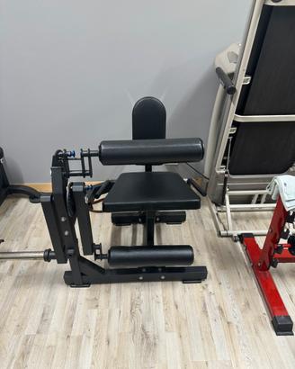 Leg extension pro