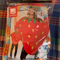 Costume carnevale fragola