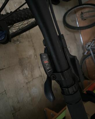 mtb29