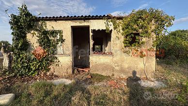 Casa Indipendente Pontinia [Cod. rif 3389192VRG]