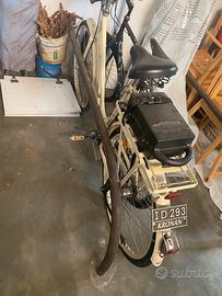 Bici elettrica Kronan 36V
