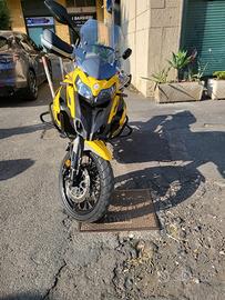 Benelli TRK 502 - 2021