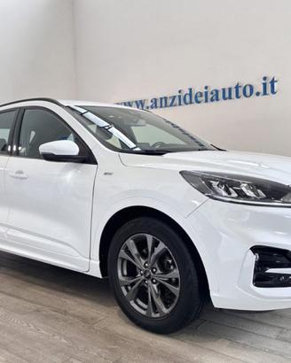 FORD Kuga 1.5 EcoBlue 120 CV aut. 2WD ST-Line