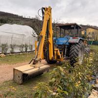 Braccio decespugliatore prolunga tagliasiepi ferri