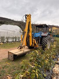Braccio decespugliatore prolunga tagliasiepi ferri