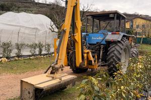 Braccio decespugliatore prolunga tagliasiepi ferri