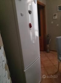 Frigo