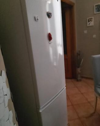 Frigo
