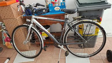 Bicicletta aurora