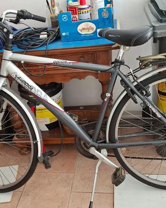 Bicicletta aurora