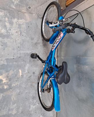 Stupenda bici