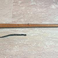 Vecchia Piccozza Alpini Vintage Anni 60