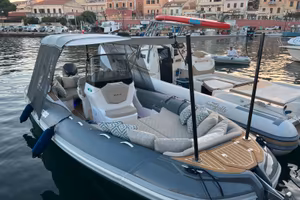 Salpa 26