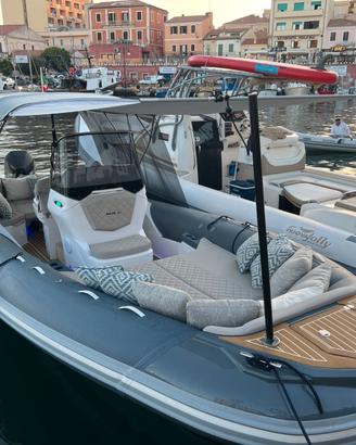 Salpa 26