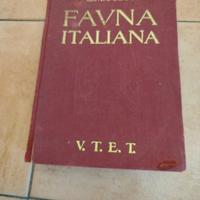 testi animali e/o natura